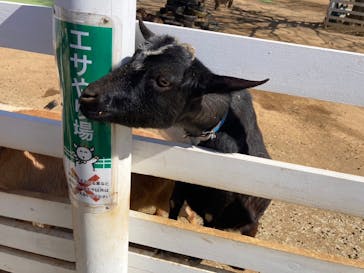 成田ゆめ牧場に投稿された画像（2024/3/23）