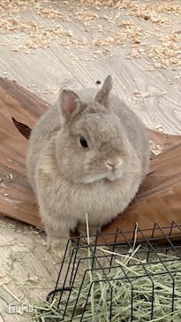 成田ゆめ牧場に投稿された画像（2024/3/23）