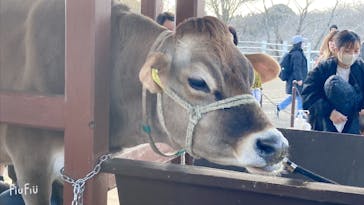 成田ゆめ牧場に投稿された画像（2024/3/23）