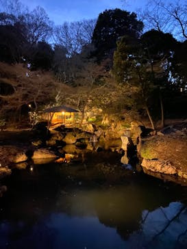 六義園に投稿された画像（2024/3/23）