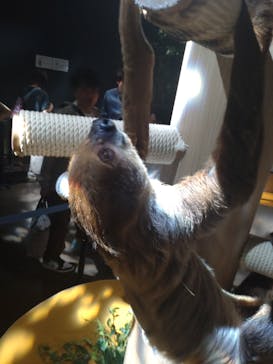 DMMかりゆし水族館に投稿された画像（2024/3/23）