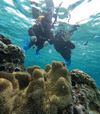 宮古島 ADVENTURE PiPi（ミヤコジマ アドベンチャー ピピ）に投稿された画像（2024/3/23）