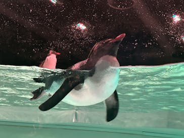 AOAO SAPPOROに投稿された画像（2024/3/23）