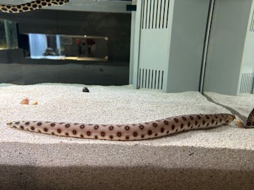 AOAO SAPPOROに投稿された画像（2024/3/23）