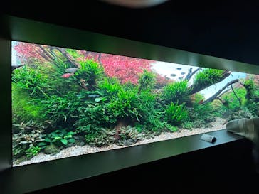 AOAO SAPPOROに投稿された画像（2024/3/23）