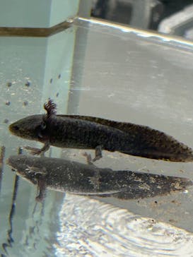 AOAO SAPPOROに投稿された画像（2024/3/23）