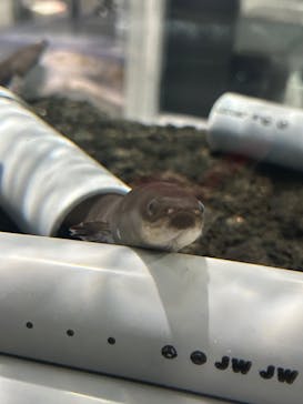 AOAO SAPPOROに投稿された画像（2024/3/23）