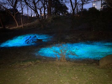 六義園に投稿された画像（2024/3/23）