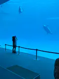 名古屋港水族館に投稿された画像（2024/3/24）