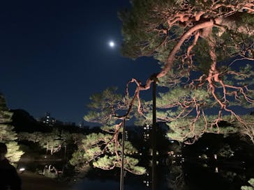 六義園に投稿された画像（2024/3/24）