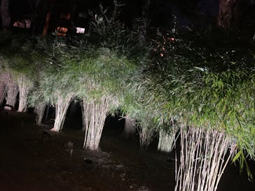 六義園に投稿された画像（2024/3/24）