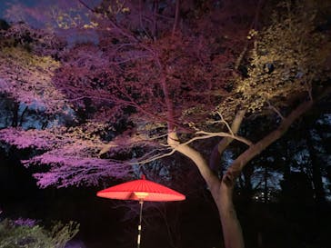 六義園に投稿された画像（2024/3/24）