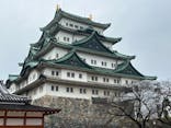 名古屋城に投稿された画像（2024/3/24）