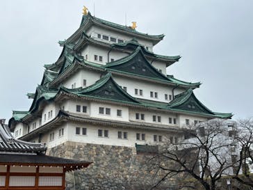 名古屋城に投稿された画像（2024/3/24）