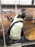 京都水族館に投稿された画像（2024/3/24）