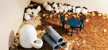 アニタッチアクアシティお台場に投稿された画像（2024/3/24）