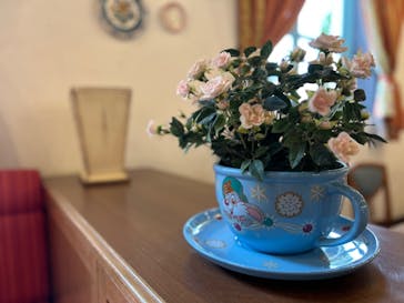 志摩スペイン村パルケエスパーニャに投稿された画像（2024/3/24）