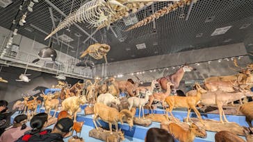 特別展「大哺乳類展３－わけてつなげて大行進」に投稿された画像（2024/3/24）