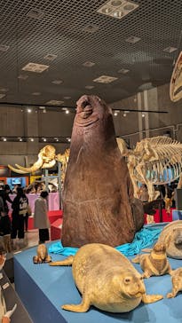 特別展「大哺乳類展３－わけてつなげて大行進」に投稿された画像（2024/3/24）