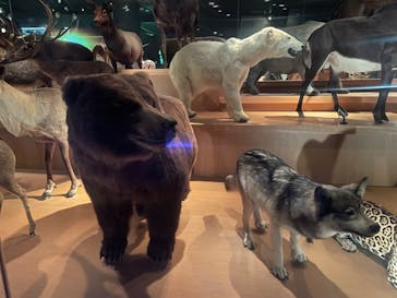 国立科学博物館に投稿された画像（2024/3/24）