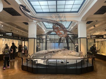 国立科学博物館に投稿された画像（2024/3/24）