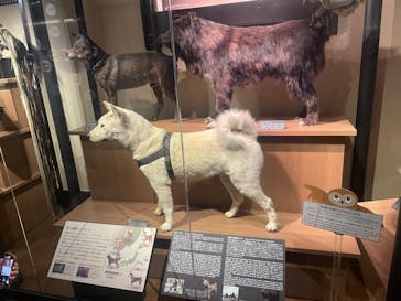 国立科学博物館に投稿された画像（2024/3/24）