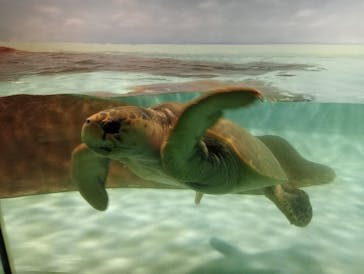 マリンワールド海の中道に投稿された画像（2024/3/24）