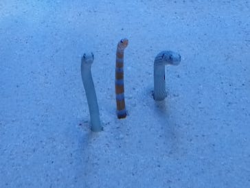 マリンワールド海の中道に投稿された画像（2024/3/24）