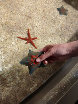 マリンワールド海の中道に投稿された画像（2024/3/24）