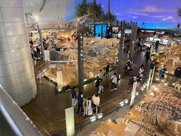 福井県立恐竜博物館に投稿された画像（2024/3/24）