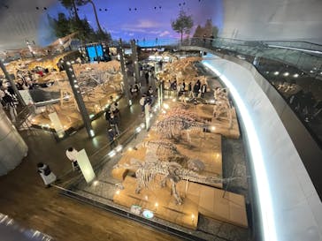 福井県立恐竜博物館に投稿された画像（2024/3/24）