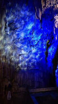 あぶくま洞に投稿された画像（2024/3/24）