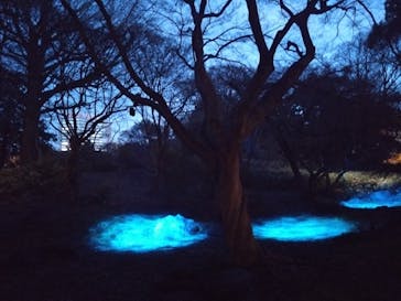 六義園に投稿された画像（2024/3/24）