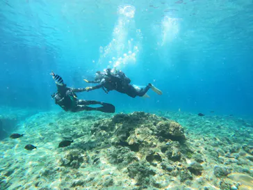 武藤潜水に投稿された画像（2024/3/24）