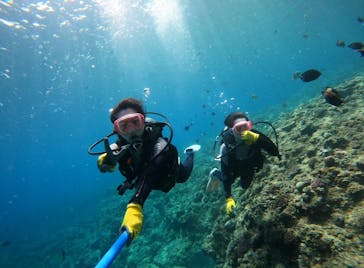 沖縄マリンサービス碧に投稿された画像（2024/3/24）