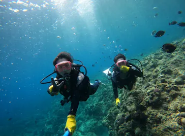 武藤潜水に投稿された画像（2024/3/24）