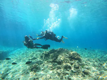 武藤潜水に投稿された画像（2024/3/24）