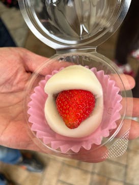 OSAKA Strawberry Festivalに投稿された画像（2024/3/24）