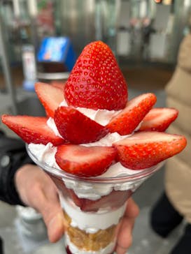 OSAKA Strawberry Festivalに投稿された画像（2024/3/24）