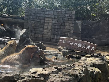 伊豆シャボテン動物公園に投稿された画像（2024/3/24）