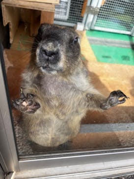 伊豆シャボテン動物公園に投稿された画像（2024/3/24）