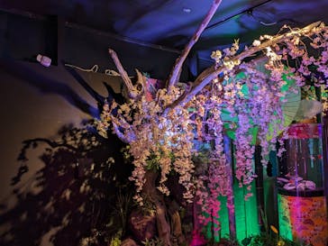 NARA KINGYO MUSEUMに投稿された画像（2024/3/24）