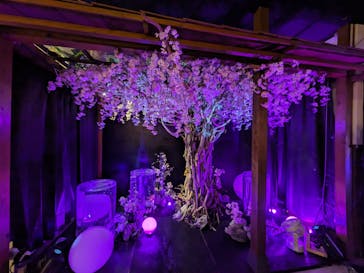 NARA KINGYO MUSEUMに投稿された画像（2024/3/24）