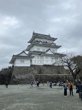 小田原城に投稿された画像（2024/3/24）