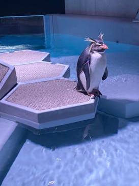 AOAO SAPPOROに投稿された画像（2024/3/24）