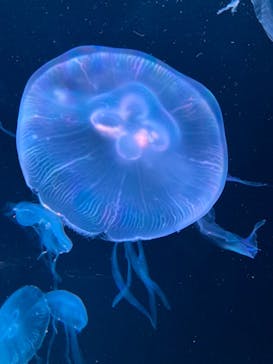 AOAO SAPPOROに投稿された画像（2024/3/24）