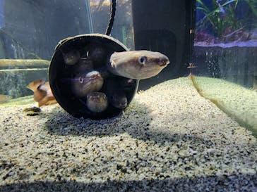 横浜・八景島シーパラダイスに投稿された画像（2024/3/24）