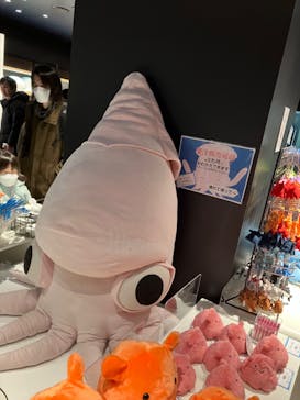 マクセル アクアパーク品川に投稿された画像（2024/3/24）