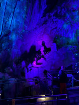 あぶくま洞に投稿された画像（2024/3/24）