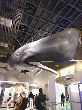 国立科学博物館に投稿された画像（2024/3/24）